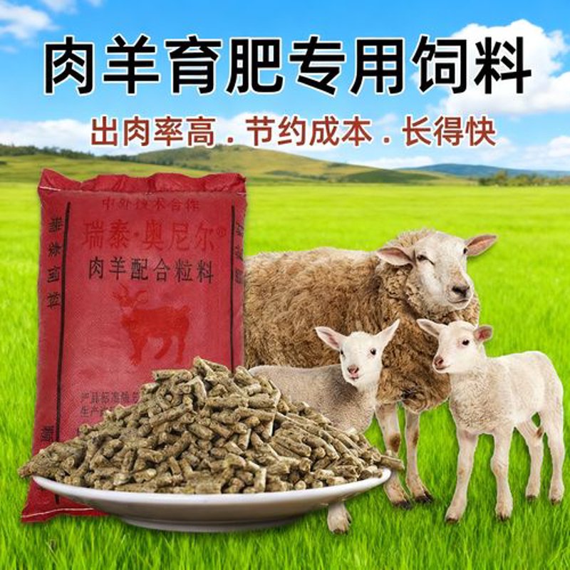 配合饲料行业的最新动态